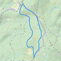 Klassik 6 km